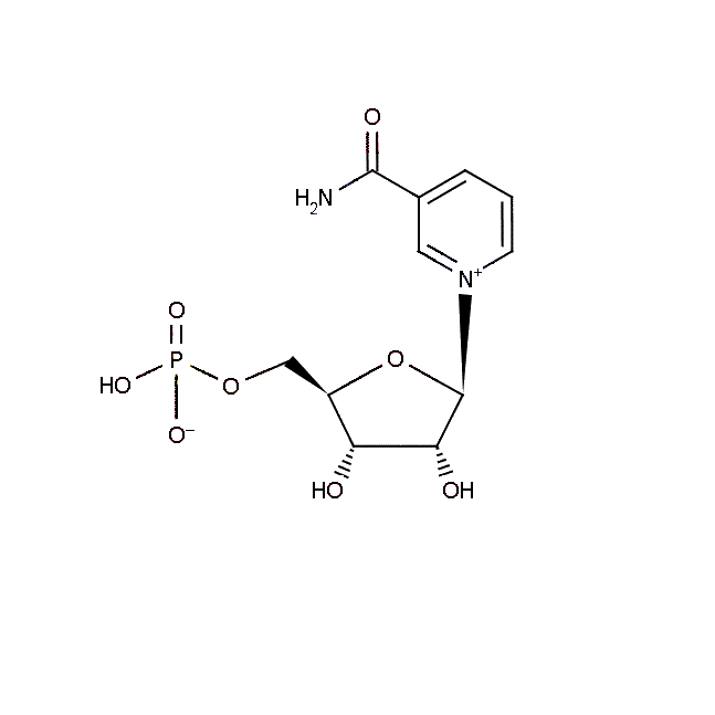 Β-Nicotinamide Mononucleotide CAS 1094-61-7 Beta-Nicotinamide Mononucleotide(NMN)