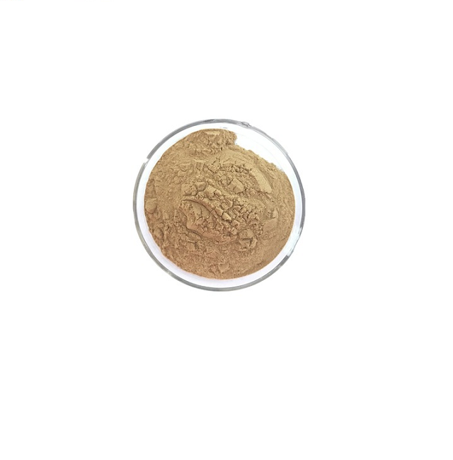 Ellagic Acid CAS 476-66-4 Punica Granatum Pericarp Extract